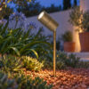 Spike Adjustable Garden Spotlight - Image 2
