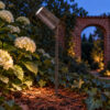 Spike Adjustable Garden Spotlight - Image 4